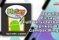 Download Picsay Pro