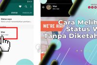 Cara Melihat Status WA Tanpa Diketahui