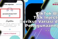 TikTok Blue Tick Injector
