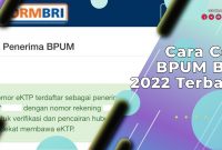 Cara Cek BPUM BRI 2022 Terbaru